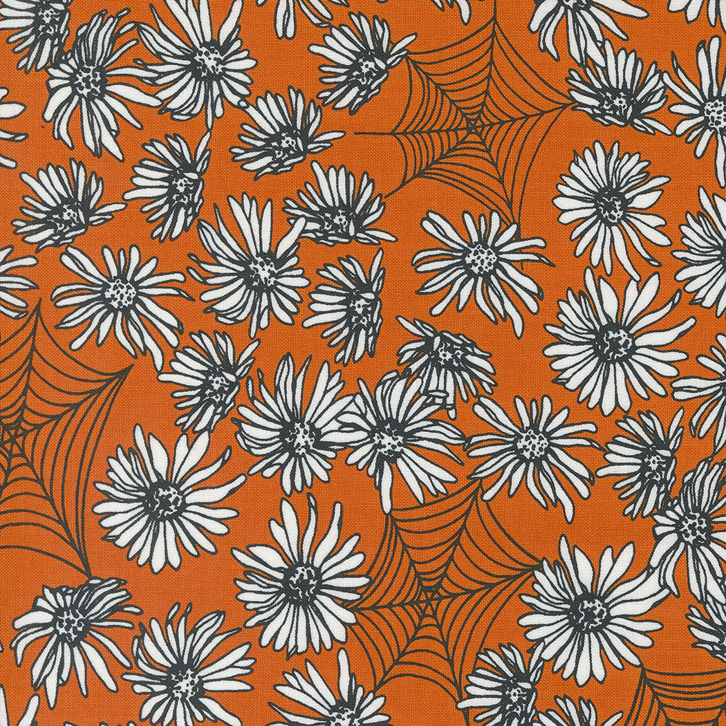 Noir 511541-24 pumpkin