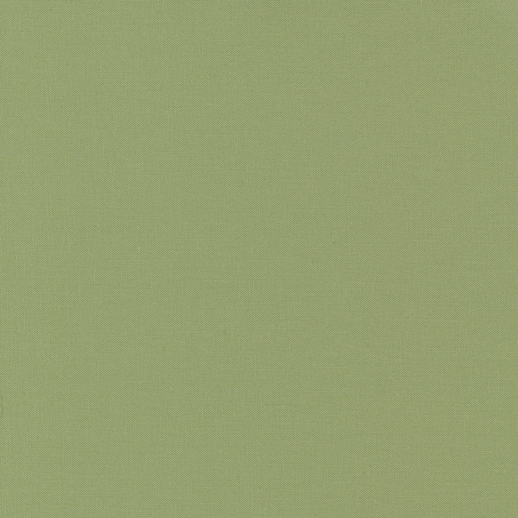 Bella Solids 1000-172 Circa Celadon