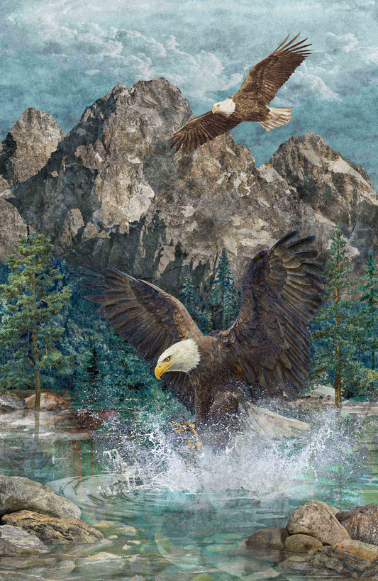 Stonehenge Eagle Pass Panel DP27670-44