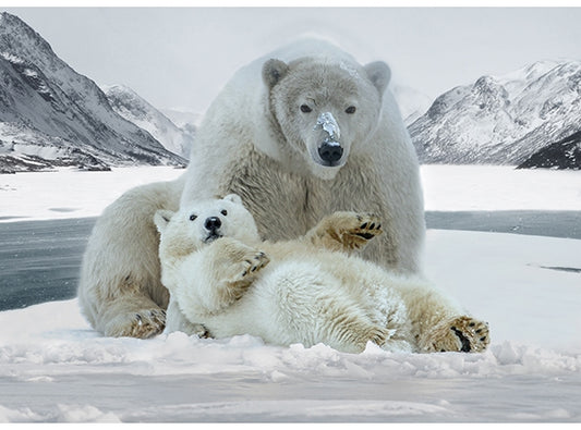 Call of the Wild Polar Bear Panel