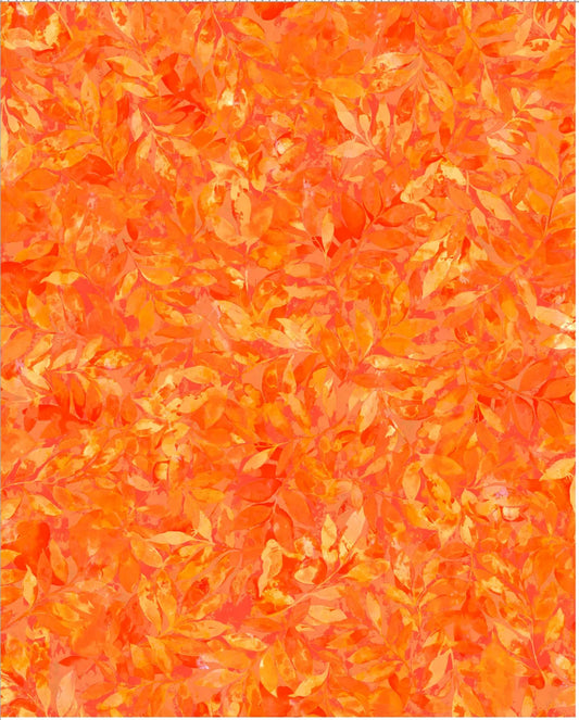 Natures Palette OA5957017 Orange